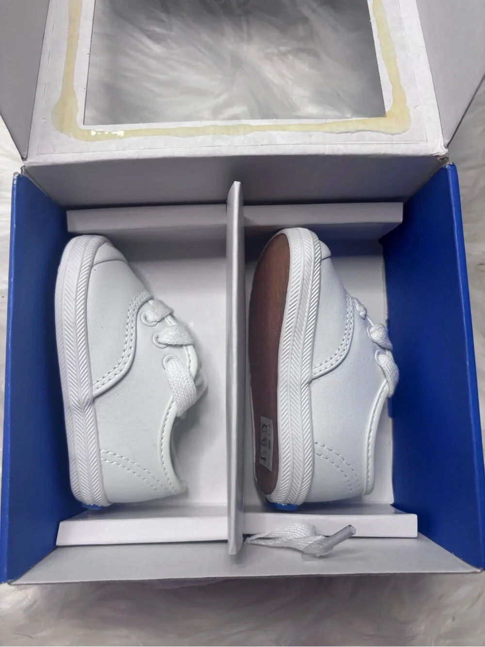 Keds Blue and White Shoe Box - Champ Lace TC Label Infant 2c